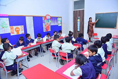 Expert Educators